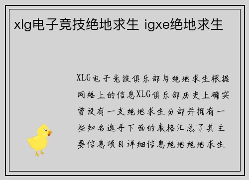 xlg电子竞技绝地求生 igxe绝地求生